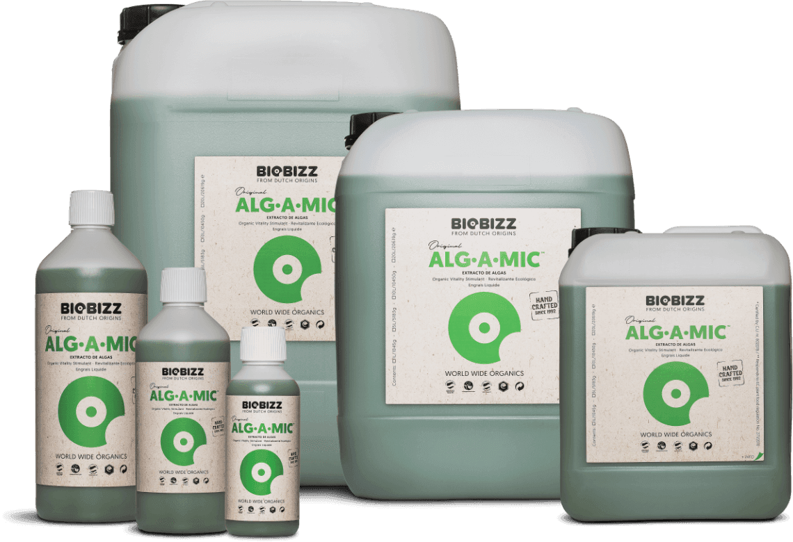 Alg·A·Mic, every size