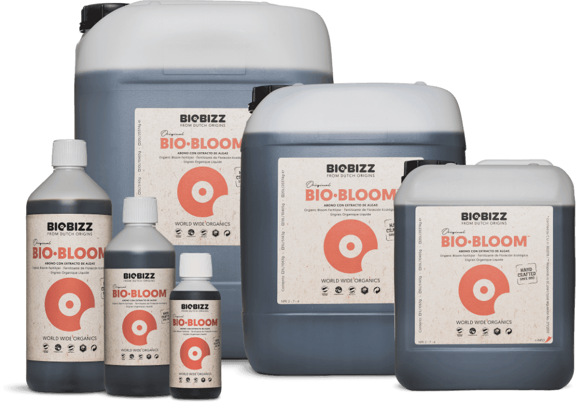 Bio·Bloom, every size
