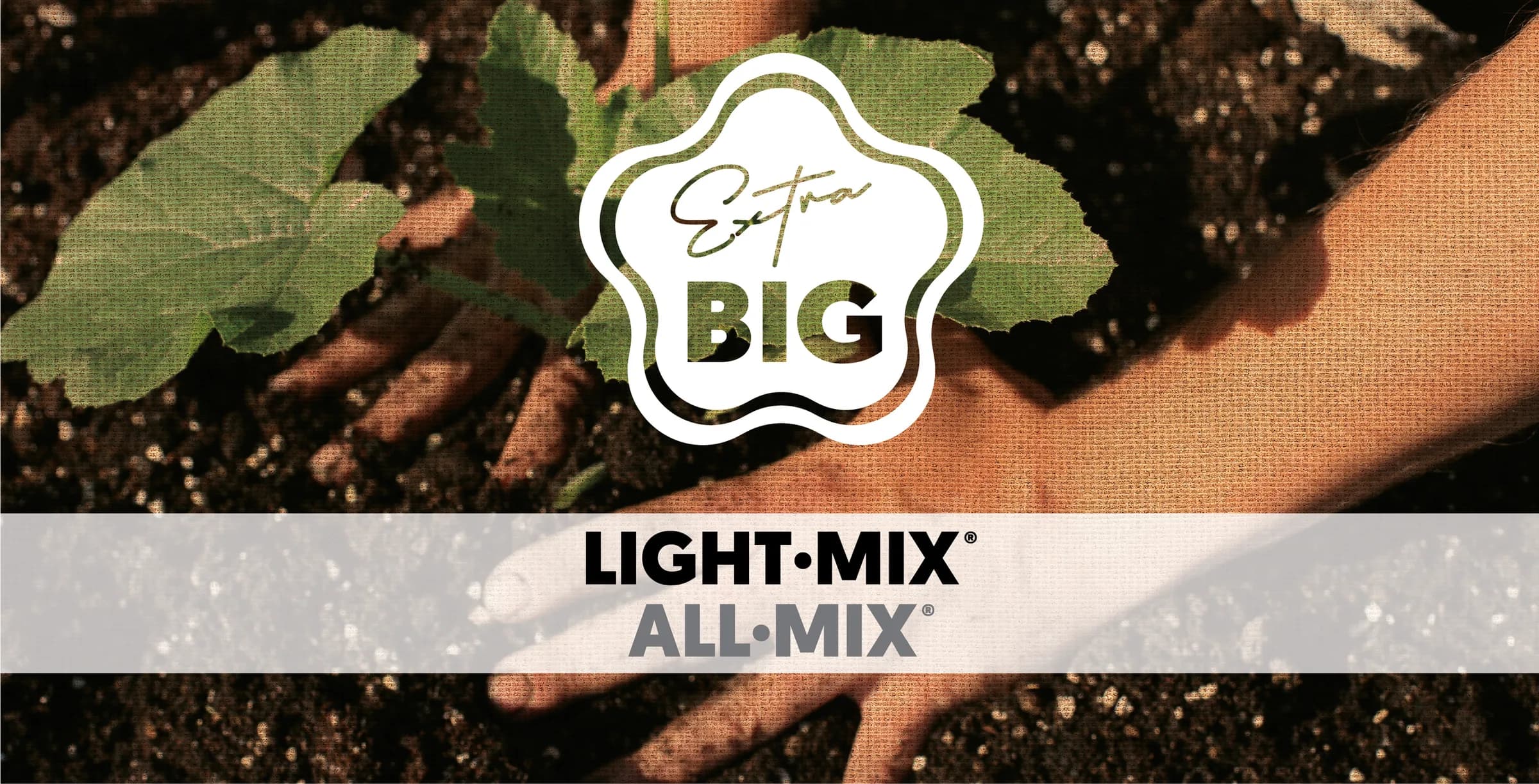 Hands settling a young plant into dark soil, with the Extra Big seal for Light·Mix and All·Mix.
