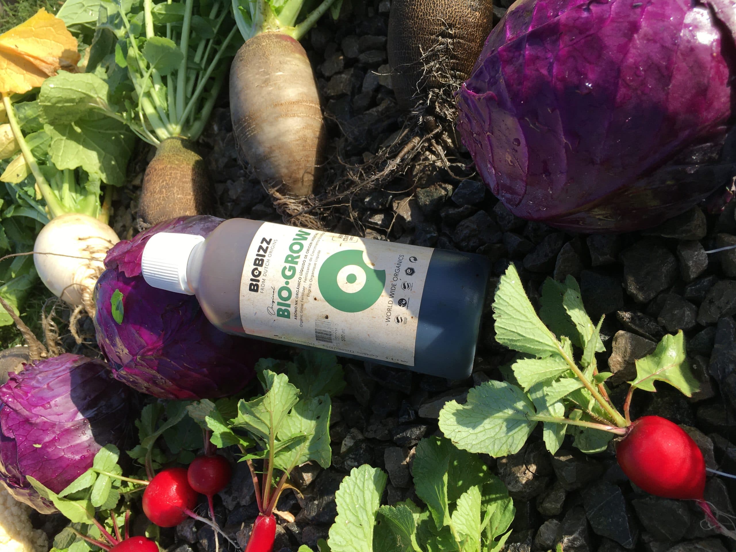 A bottle of Bio·Grow beside freshly pulled root vegetables