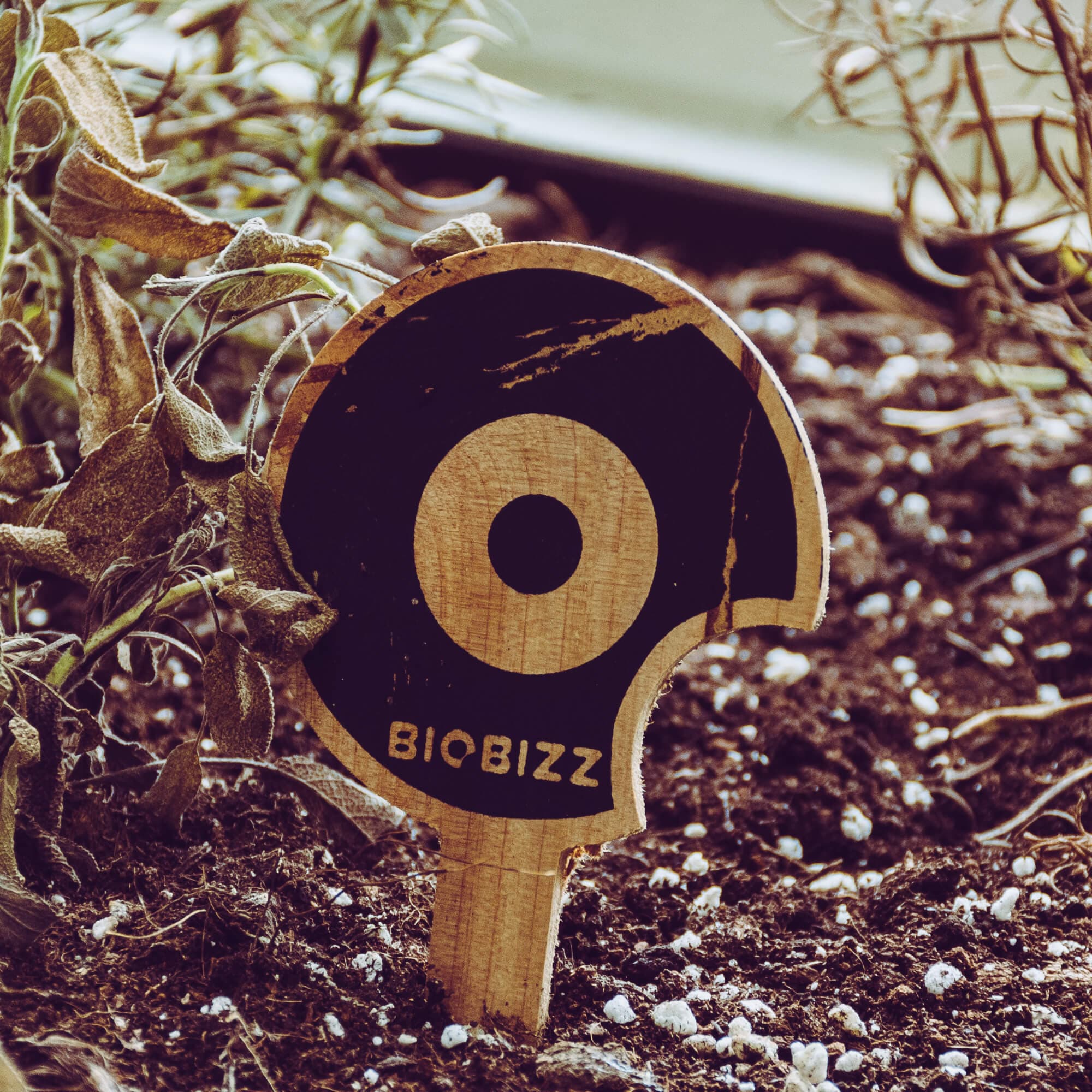 The wooden Biobizz mark resting in dark soil